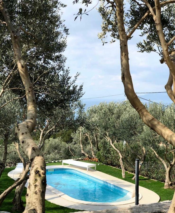 Villa Tamaris Makarska Exterior photo