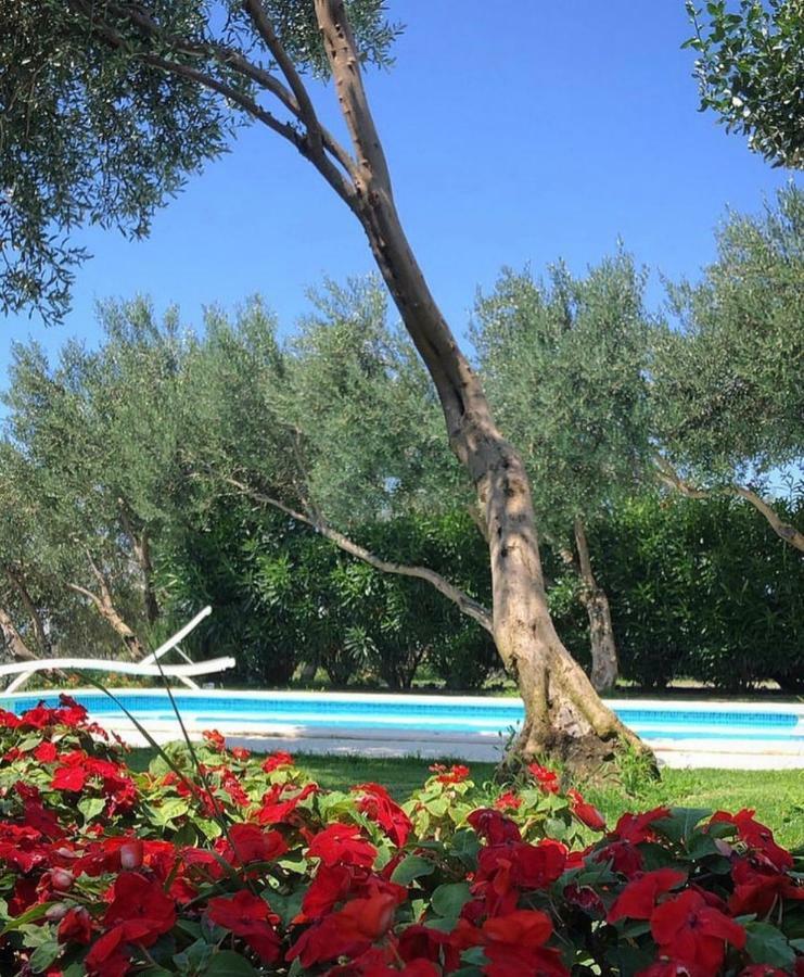 Villa Tamaris Makarska Exterior photo